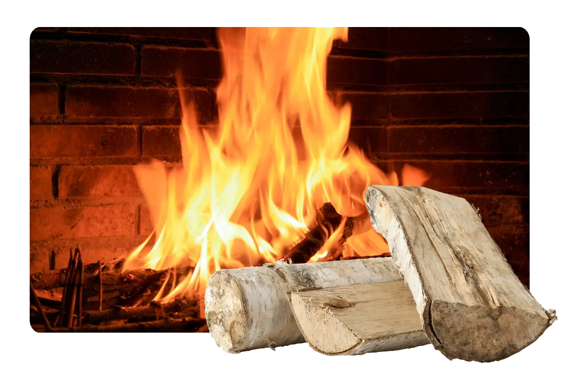 Ein Kaminfeuer mit drei Scheitel Birkenholz im Vordergrund