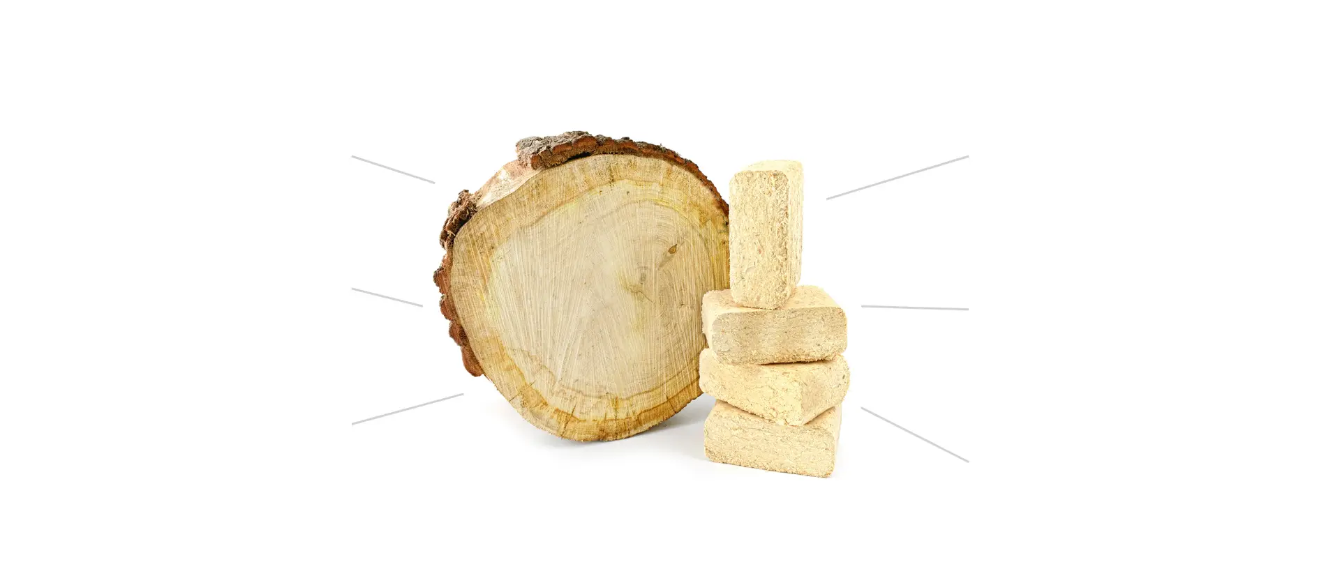 Baumscheibe mit einem Stapel Holzbriketts