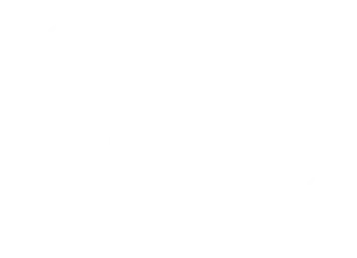 ENplus Logo