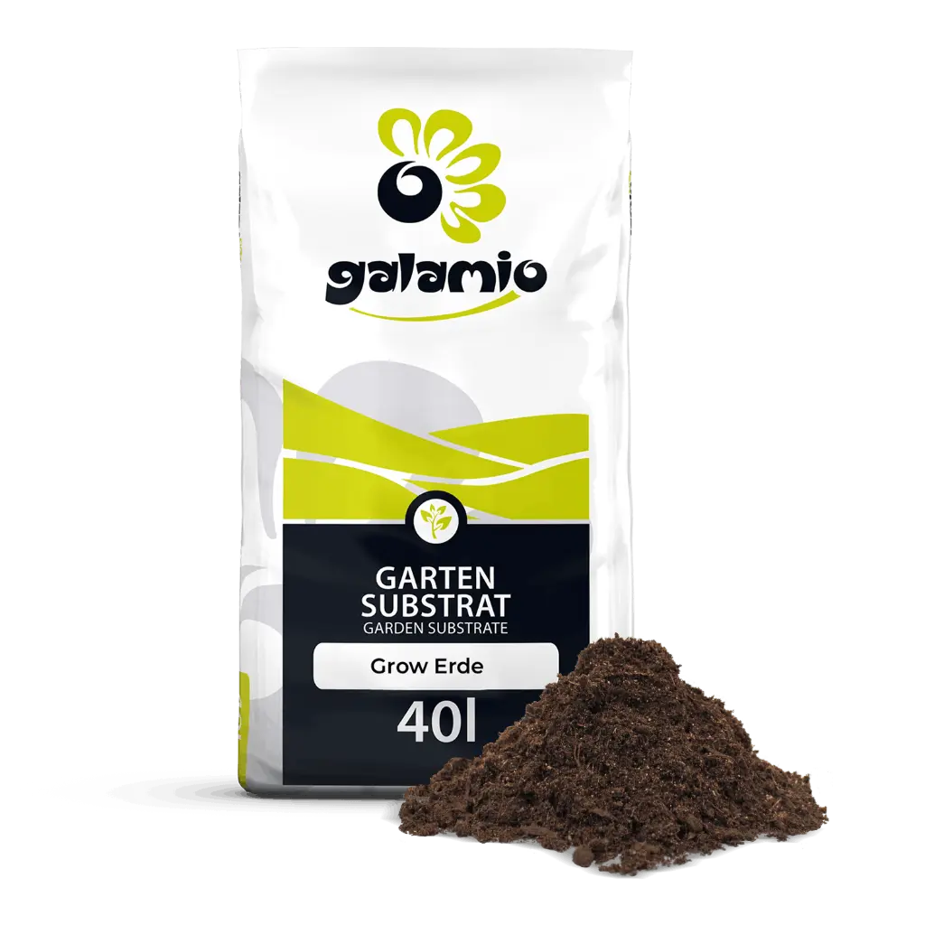 SGE40 Galamio Grow Erde Haufen rechts.webp