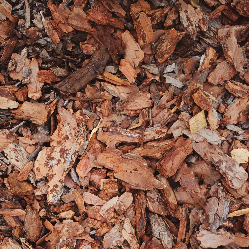 MUC60-Rindenmulch-Kiefer-Grob-Textur.webp